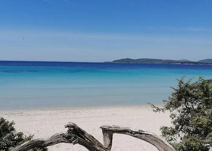 Lo Scrigno Di Ely * ألغيرو